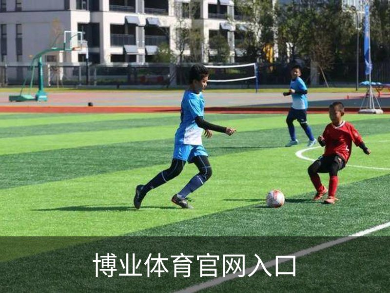 了解博业体育官网入口