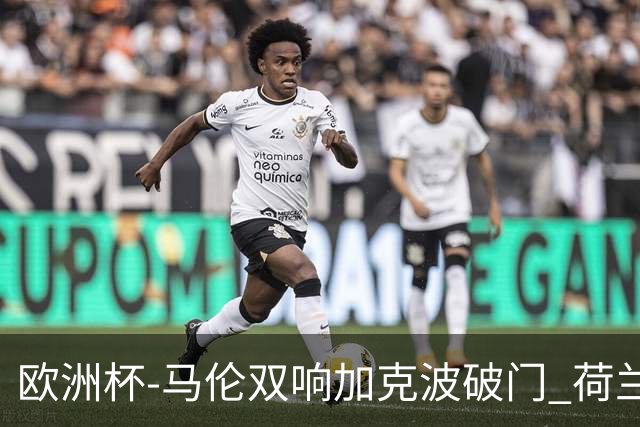欧洲杯-马伦双响加克波破门 荷兰3-0罗马尼亚